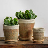 Photo of Campania Farmer's Pot - Cotswold White - Set of 12 - Marquis Gardens